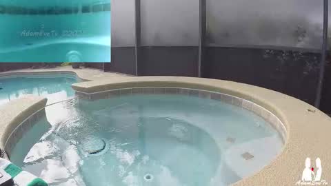 Adam And Eve online show from November 29, 2025, 6:00 pm