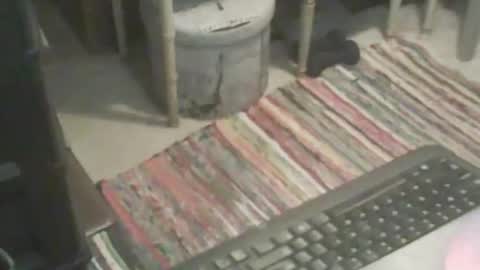 adamsny online show from November 9, 2025, 6:55 am