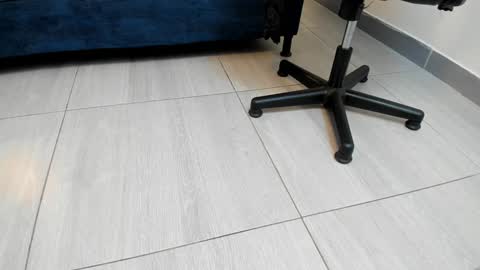 adbel sady online show from December 27, 2024, 11:06 am