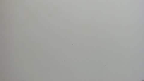 adbel sady online show from January 15, 2025, 11:10 am