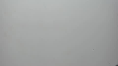 adbel sady online show from February 10, 2025, 11:15 am