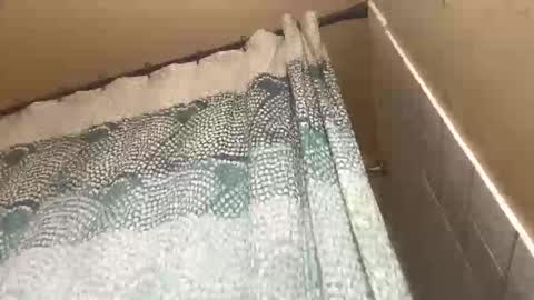 addictedtobustnloads1 online show from January 12, 2026, 7:57 am