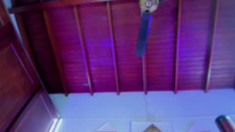 adeline online show from December 17, 2024, 6:24 am