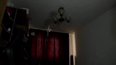 Snapshot of adonislovely chatting on January 13, 2026, 9:58 am Adonis Steel online show from January 13, 2026, 9:58 am