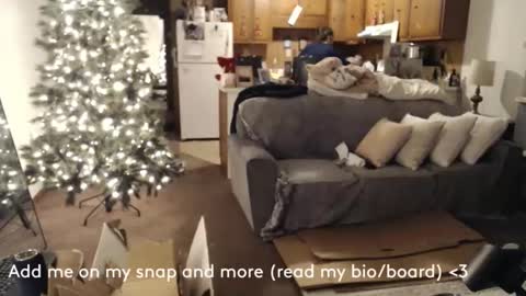 adorable22 online show from December 17, 2024, 2:12 am