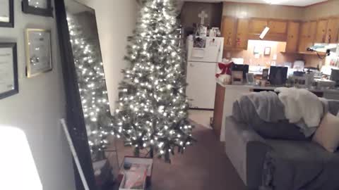 adorable22 online show from December 19, 2024, 6:01 am