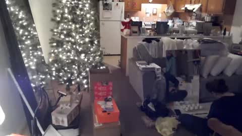 adorable22 online show from December 20, 2024, 10:22 pm