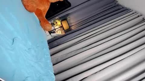 Adriana online show from March 4, 2025, 10:57 am