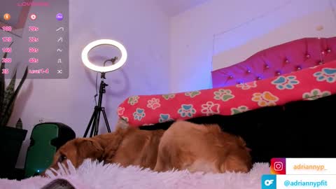 Snapshot of adriannyp chatting on September 18, 2025, 1:18 am adrianny online show from September 18, 2025, 1:18 am