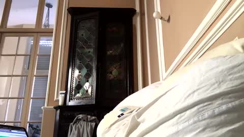 Snapshot of adrienfromparis chatting on March 19, 2026, 8:07 am adrienfromparis online show from March 19, 2026, 8:07 am