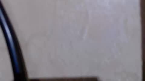 Snapshot of aeonian4 chatting on December 19, 2025, 11:23 pm aeonian4 online show from December 19, 2025, 11:23 pm