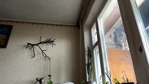 vegans taste better online show from October 14, 2025, 6:14 am