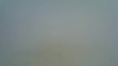 afronubians online show from March 5, 2025, 9:16 am