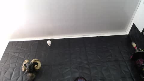 Snapshot of agata_darkness chatting on June 4, 2026, 3:40 pm Miss Agata online show from June 4, 2026, 3:40 pm