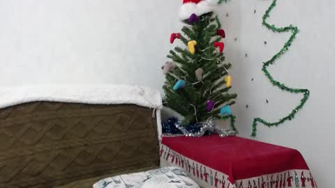 Agatha online show from January 2, 2025, 11:52 am