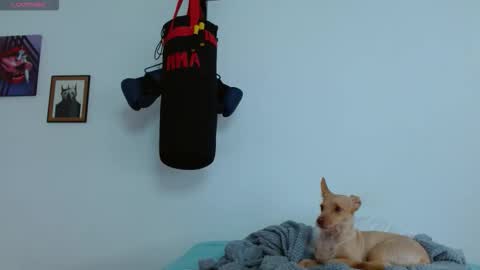 Agness online show from October 20, 2025, 6:08 pm