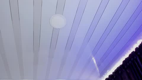 AIHNOA online show from February 19, 2025, 12:22 pm