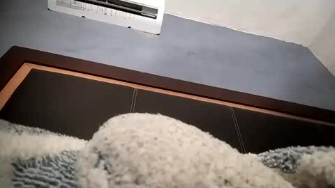 airoon91 online show from November 16, 2025, 5:24 am