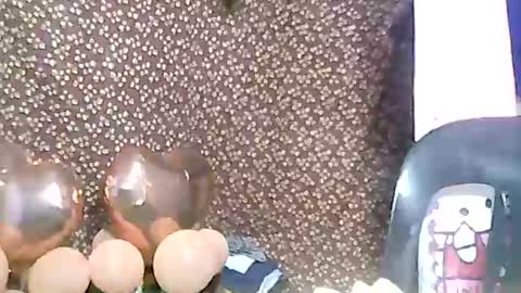 rosie online show from February 3, 2025, 3:17 pm