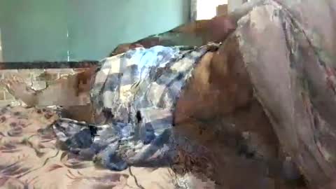 BigHairyGuy online show from December 16, 2024, 6:32 am