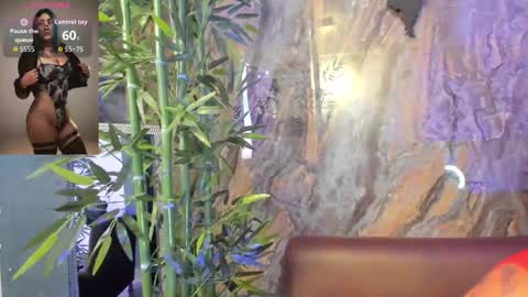 ALAHIA online show from October 29, 2025, 5:25 pm