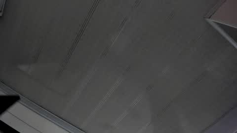 Maeve  online show from February 11, 2025, 4:56 pm