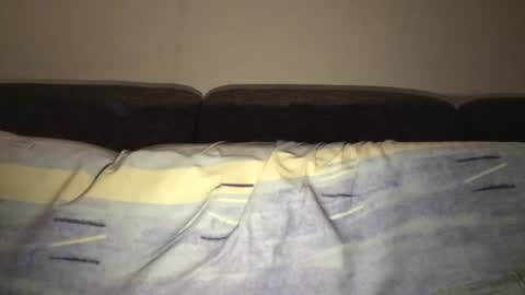 alanfick online show from August 3, 2026, 1:48 am