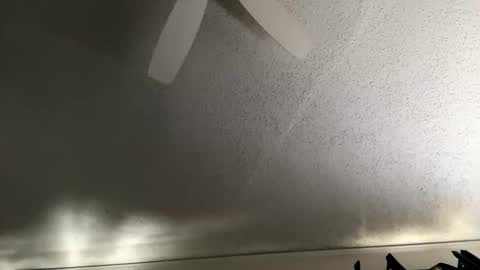 Dinky online show from January 7, 2026, 5:26 pm