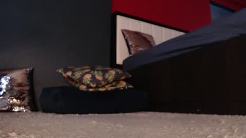 Alanna online show from January 11, 2025, 5:20 am