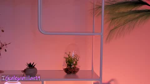 Snapshot of alejamillan1 chatting on June 30, 2026, 4:02 am night GTM -5 online show from June 30, 2026, 4:02 am