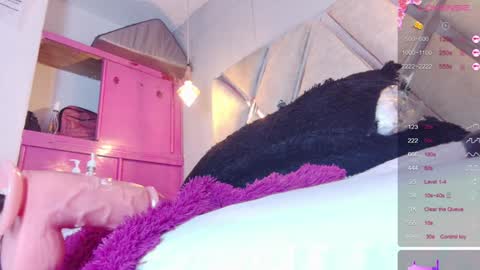 alejandra martins online show from January 12, 2025, 7:21 am