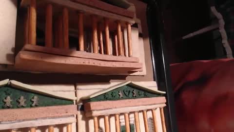 Alex Amazing online show from January 28, 2025, 9:08 pm