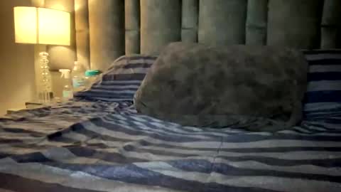 alexander grey online show from March 12, 2025, 11:44 pm