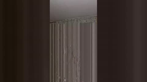 AlexandraXKitty online show from February 8, 2026, 1:53 am