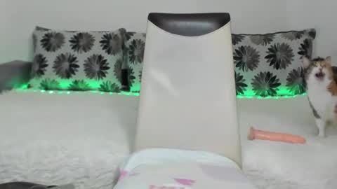 Snapshot of alexatight chatting on January 11, 2025, 11:23 am Alexa online show from January 11, 2025, 11:23 am