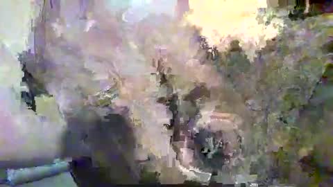 Alex online show from November 12, 2025, 10:30 pm