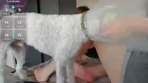 Alexia online show from November 20, 2025, 3:23 pm