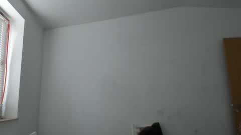 alfiesolomons87 online show from November 14, 2025, 9:41 am