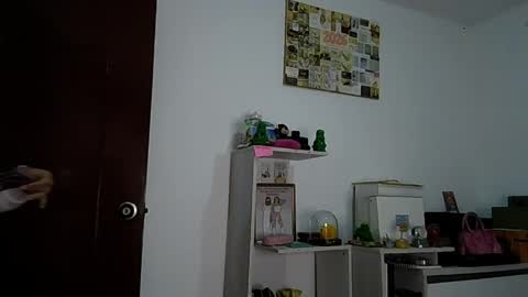 Alia      Anjali  online show from April 27, 2026, 12:47 pm