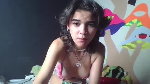 alice online show from December 17, 2024, 11:27 pm