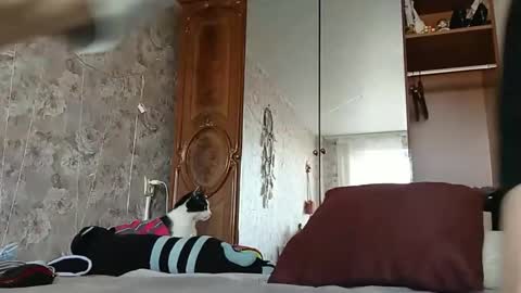 bigclit daddy squirt bigdildo fit online show from February 24, 2025, 11:21 am