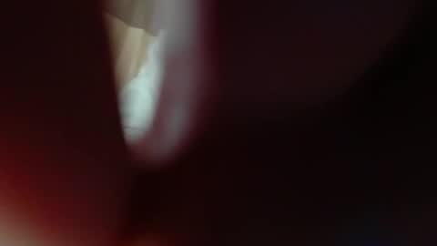 bigclit daddy squirt bigdildo fit online show from November 8, 2025, 6:02 am