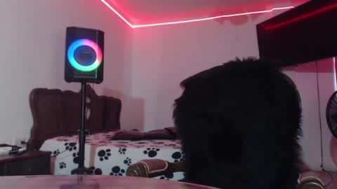 aliceesmiths online show from February 10, 2025, 6:24 pm