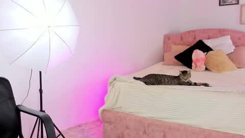  ALICEKIING online show from February 21, 2026, 4:24 am