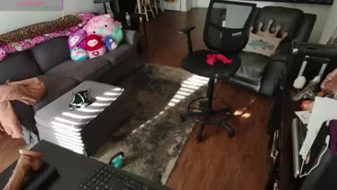 Alice Liddell online show from March 21, 2026, 3:04 pm