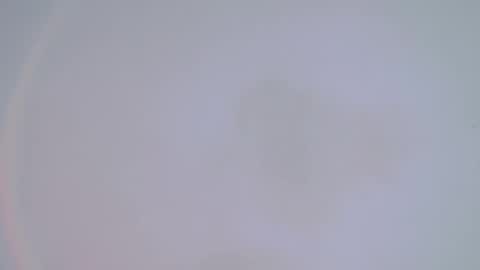     online show from February 14, 2025, 1:34 am