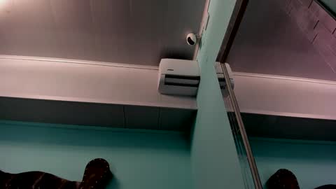 Alice online show from December 31, 2024, 10:58 am