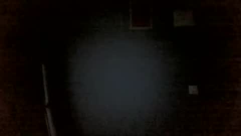 Snapshot of aliprcalica1 chatting on April 14, 2026, 11:44 pm Chris online show from April 14, 2026, 11:44 pm