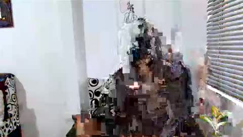 Alisonturbay online show from April 15, 2026, 12:23 pm
