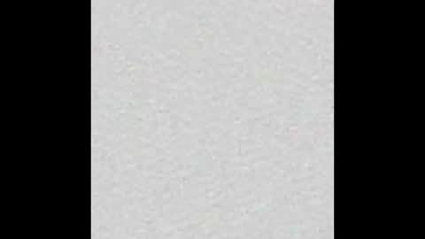 Alisse online show from October 21, 2025, 12:06 pm